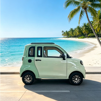 Véhicule électrique compact L6e pour les marchés des permis de conduire des adolescents, micro-voiture urbaine 2 portes 2 places avec caméra de recul et feux LED