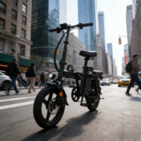 2024 Hot Selling Customized Folding Electric Bicycle 2 Wheel 14" Tire Lithium Battery Brushless Motor 500W Sidecar for Adults