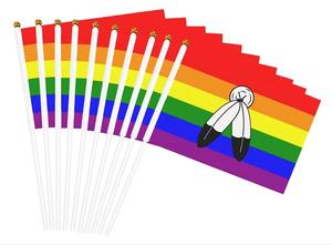 Barato 14*21cm Two Spirit Pride Flag Handheld Flag Stick Flags Small Mini Banner Holiday Decoraciones Suministros para desfiles - Product Image 2