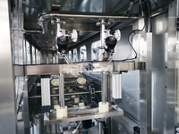 Ligne de production clé en main pour l'embouteillage d'eau industrielle de 5 gallons (20 L) pour l'installation d'une usine d'eau