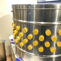 Machine à plumer les volailles en acier inoxydable pour poulets, canards, oies, cailles, pigeons – Équipement agricole pour petites exploitations