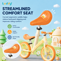 Vélo d'équilibre pour enfants Luddy Wholesale OEM B.Duck en alliage de magnésium, léger, sans pédales, vélo d'apprentissage pour tout-petits, pneus EVA, âges 2-6 ans