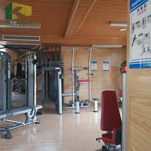 Conteneur d'expédition extensible <span class=keywords><strong>de</strong></span> 20 pieds transformé en salle <span class=keywords><strong>de</strong></span> sport avec revêtement en caoutchouc, miroir mural, barre <span class=keywords><strong>de</strong></span> traction pour la remise en forme à domicile, studio <span class=keywords><strong>de</strong></span> fitness, entraînement en plein air - Product Image 4