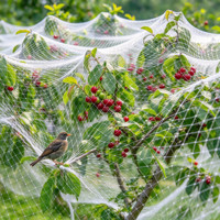 Filet anti-oiseaux en nylon noir robuste pour la protection des baies, l'aquaculture, la prévention des ravageurs dans les champs de melons, les fermes et les serres - Vente en gros