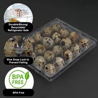 Cartons d'oeufs de caille en plastique Emballage d'oeufs de caille 20 trous Fournisseurs de boîtes d'oeufs de caille