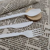 Couverts jetables biodégradables PLA personnalisés de 6/7 pouces pour les fêtes