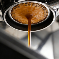 Tête de portafiltre sans fond en acier inoxydable 304, 58 mm, 2 oreilles, pour groupes E61 de machines à expresso, nouveau design, poignées de remplacement