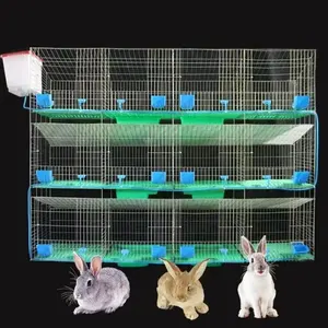 Capacidade 24 gaiolas do coelho com bebedouros e alimentadores