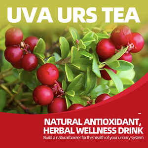 Sachets de tisane d'Uva Ursi prêts à l'emploi OEM ODM – Mélange naturel d'Uva Ursi et de pissenlit, végétalien, sans OGM pour le bien-être général - Product Image 2