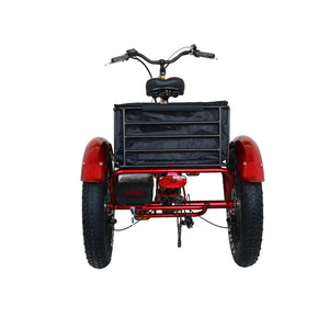Newspeed-triciclo eléctrico de 3 ruedas para nieve, neumático ancho, 500W/1000W, 26 pulgadas, barato - Product Image 1