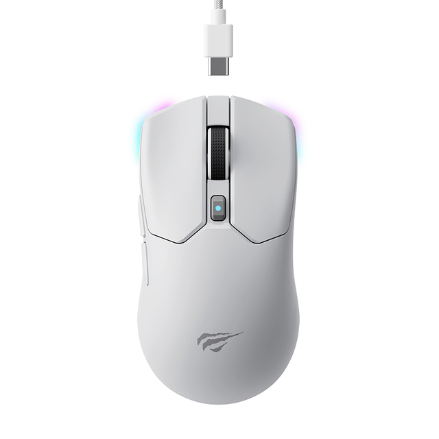 Havit MS974WB 2.4G Wireless Mouse RGB Gaming Mouse for Gamer Rechargeable Programming Ergonomic