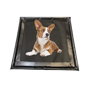 Anti Tearing And Biting Cat Dog Food Mat Waterproof PVC tarpaulin Pet Mat Feeding Non-Slip Dog Bowls Mat for Food and Water