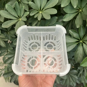 Pots <span class=keywords><strong>de</strong></span> culture hydroponique à 4 trous avec design en forme <span class=keywords><strong>de</strong></span> <span class=keywords><strong>bulbe</strong></span> pour plantes succulentes d'intérieur, orchidées, contenants décoratifs pour la culture aquatique - Product Image 5