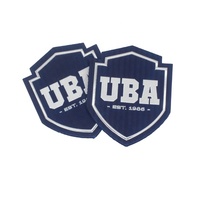 Patchs écussons personnalisés en TPU pour vêtements, étiquettes de transfert de chaleur pour T-shirt, Logo personnalisé avec nom en relief
