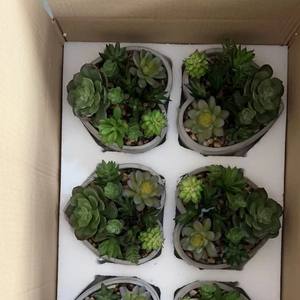 Plantes artificielles vertes pour l'extérieur, décor de faux plantes décoratives, gazon de blé en plastique, diades multicolores résistantes aux UV, secs pour la fenêtre - Product Image 3