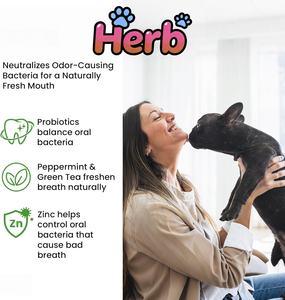 ODM/OEM Pet <b>Probiotic</b> Powder Digestive Health Supplement <b>for</b> <b>Dogs</b> Cats Support Gut Balance - Product Image 5