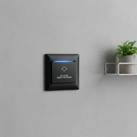 Interrupteur Économiseur d'Énergie Doré pour Chambre d'Hôtel, Économiseur de Courant pour Carte Clé, Installation Facile, 100-260V AC 12-24V DC avec Retard de 15 Secondes avant l'Arrêt de l'Alimentation