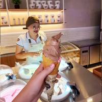 Machine à Gelato Commerciale Miles Galaxy Pro V4 Approuvée par la NSF, Fabricant de Glaces Haut de Gamme, Machine à Faire des Glaces TOFU G, Machine à Gelato Pozzetti