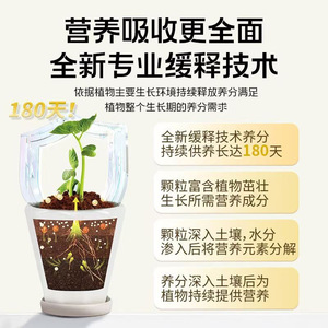 Engrais pour oiseaux de paradis Bage Laotou 200g, granulé organique pour le jardinage domestique - Product Image 5