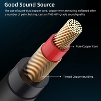 Adaptateur Convertisseur Audio Stéréo Xput 6,35 mm Mâle vers 3,5 mm Femelle, Câble de Connexion Audio Portable pour Casque, Haut-parleur, Mixeur