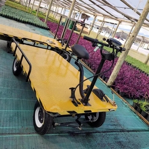 Carretilla Eléctrica de <span class=keywords><strong>Carga</strong></span> de 1000 kg, Plataforma Eléctrica para <span class=keywords><strong>Transporte</strong></span> de <span class=keywords><strong>Carga</strong></span> Pesada, Carro de <span class=keywords><strong>Transporte</strong></span> con 4 Ruedas para <span class=keywords><strong>Carga</strong></span> - Product Image 2