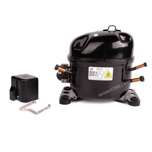 Compresseur WanSheng LBP QD65Y QD75Y QD85Y 220-240V50Hz 1/5hp 1/6hp R600a petit réfrigérateur congélateur compresseur de réfrigération