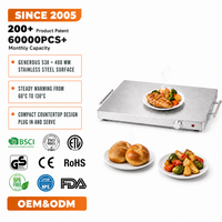 Plaque chauffante électrique 250W en acier inoxydable avec contrôle de température, plateau chauffant pour buffet, chauffe-plats de comptoir pour intérieur