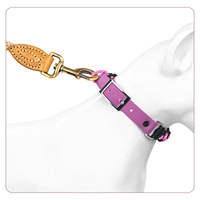Collier pour chien en nylon tissé PVC souple, réglable, confortable et durable, avec boucle métallique, idéal pour les promenades – Vente chaude