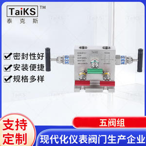 Collecteurs à cinq vannes de type T fournis par le fabricant, vannes à aiguille en acier inoxydable avec raccord à filetage interne, vannes de régulation - Product Image 4