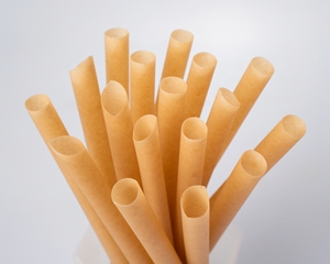 Free Natural Vietnam Eco-Friendly 100% Biodegradable Coffee Juice Bubble Tea Sugarcane Bagasse <b>Drinking</b> <b>Straws</b> - Product Image 2