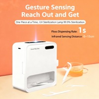 Hydropulseur intelligent rechargeable par USB avec support de brosse à dents, batterie intégrée 2000 mAh, portable pour la maison, les voyages et la voiture, OEM ODM