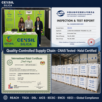 Silice précipitée CENSIL SiO2 Qualité alimentaire et caoutchouc Noir de fumée blanc REACH Halal CNAS COA MSDS