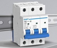 Disjoncteur à chint chaud MCB NB1-63 1A 2A 3A 4A 6A 10A 16A 20A 25A 32A 40A 50A 63A 1P 2P 3P 4P 6kA NB1-63 2P C10 interrupteur d'air