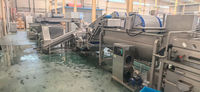 Volledig automatische fruit- en groente productielijn voor voedselverwerking, inclusief automatische reiniging en snijproces.