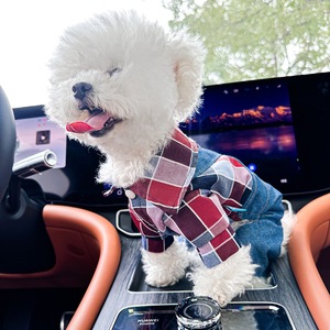 เสื้อผ้าสัตว์เลี้ยงขายส่ง ชุดสุนัขสี่ขาแบบสั่งทำพิเศษสำหรับฤดูใบไม้ผลิ กางเกงยีนส์ผ้าลูกฟูกแบบมีสายรัด ชุดจั๊มสูทสำหรับสุนัขพันธุ์เล็ก - Product Image 4