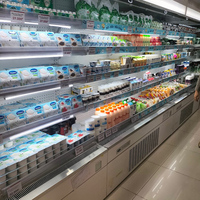 Vitrine Réfrigérée Commerciale Supermarché à Inverter, Sans Givre, Ouverte, pour Viandes et Légumes, Multi-Niveaux