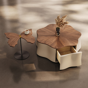 Tavolo da caffè moderno in legno retrò nuovo stile di design popolare tavolo da salotto <span class=keywords><strong>per</strong></span> Sake - Product Image 5