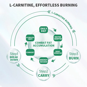 Kapsul Pembakar Lemak Malam Hari Grosir untuk Wanita - Peningkat Metabolisme Alami, Penekan Nafsu Makan & Pendukung Tidur - Product Image 6