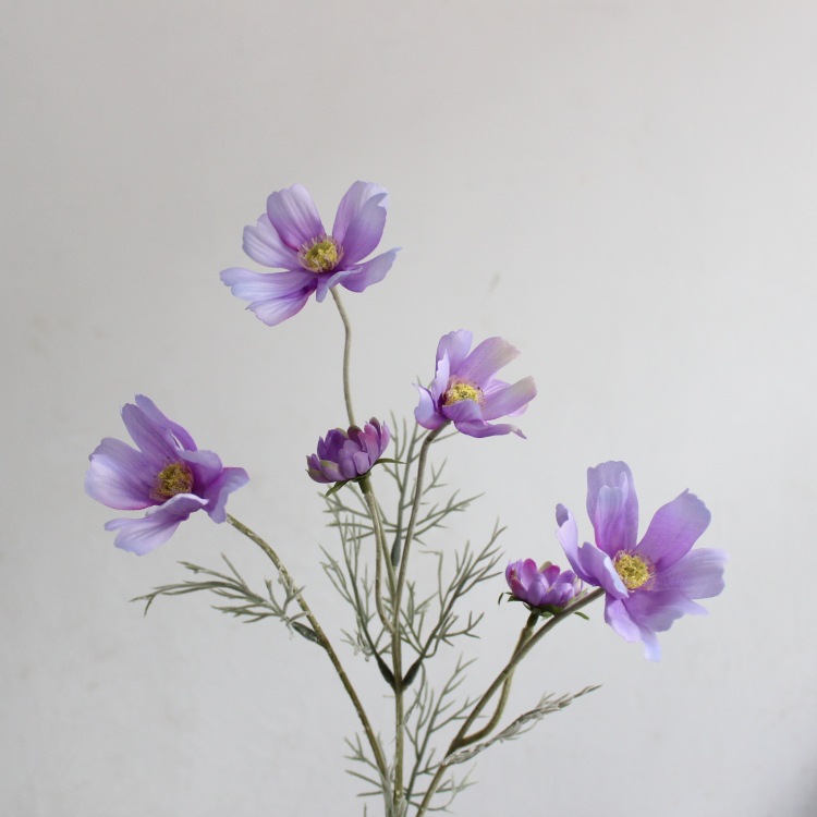 Lilas