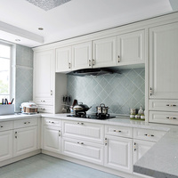 Meubles de maison au design moderne européen Panier à tirer durable Armoire de cuisine en acier inoxydable à vendre