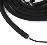 RGBIC adressable 360 °   Ruban LED Néon Flexible Noir DC24V Couleurs Rêveuses pour Bar, Club, Extérieur