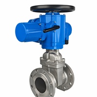 Vanne à opercule multi-tours DN200 DN250 en acier inoxydable avec actionneur électrique et volant pour le traitement de l'eau en pipeline