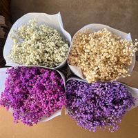 Bunga Baby Breath Dekoratif Rumah Grosir, Bunga Gypsophila Alami Diawetkan Kering