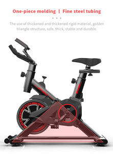 Bicicleta de Spinning para Ejercicio en Casa, Equipo de Gimnasio de Alta Calidad, Venta Directa de Fábrica CZFIT, Personalizable - Product Image 4
