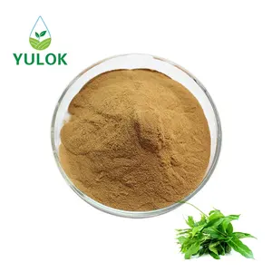 Pure Natural Plant Extract Food Grade Gymnema Sylvestre Extract Used For Food Industry