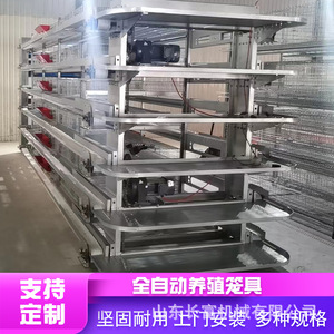 Shandong Changfu เครื่องจักรชั้นกรง H ประเภทเหล็กชุบสังกะสีอุปกรณ์ฟาร์มไก่อัตโนมัติ - Product Image 4