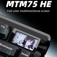 [Claviers HE personnalisés] Clavier à interrupteurs magnétiques MTM75 HE RT0.001mm 8Khz Clavier de jeu avec affichage Paramètres réglables