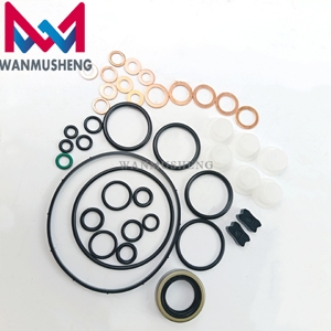Chất lượng tốt 800637 DIESEL ve sửa chữa máy bơm Kit Đại Tu 800637 với dầu niêm phong - Product Image 3