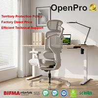 Chaise de bureau ergonomique contemporaine en maille, grand dossier inclinable, accoudoirs 5D, soutien lombaire réglable, siège professionnel confortable pour espace de travail
