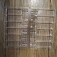 Pot de fleur en plastique PET transparent personnalisé à 6 cavités semis plantes vivantes bonsaï emballage blister à clapet